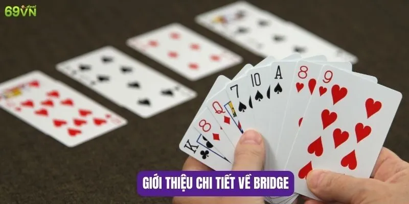 Cách chơi bài Bridge: Nghệ thuật của sự hợp tác và chiến lược 5 Giới thiệu chi tiết về Bridge